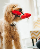 Meu Coração Fofinho - Brinquedo