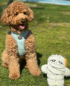 Halloween - Mummy Crankle Toy