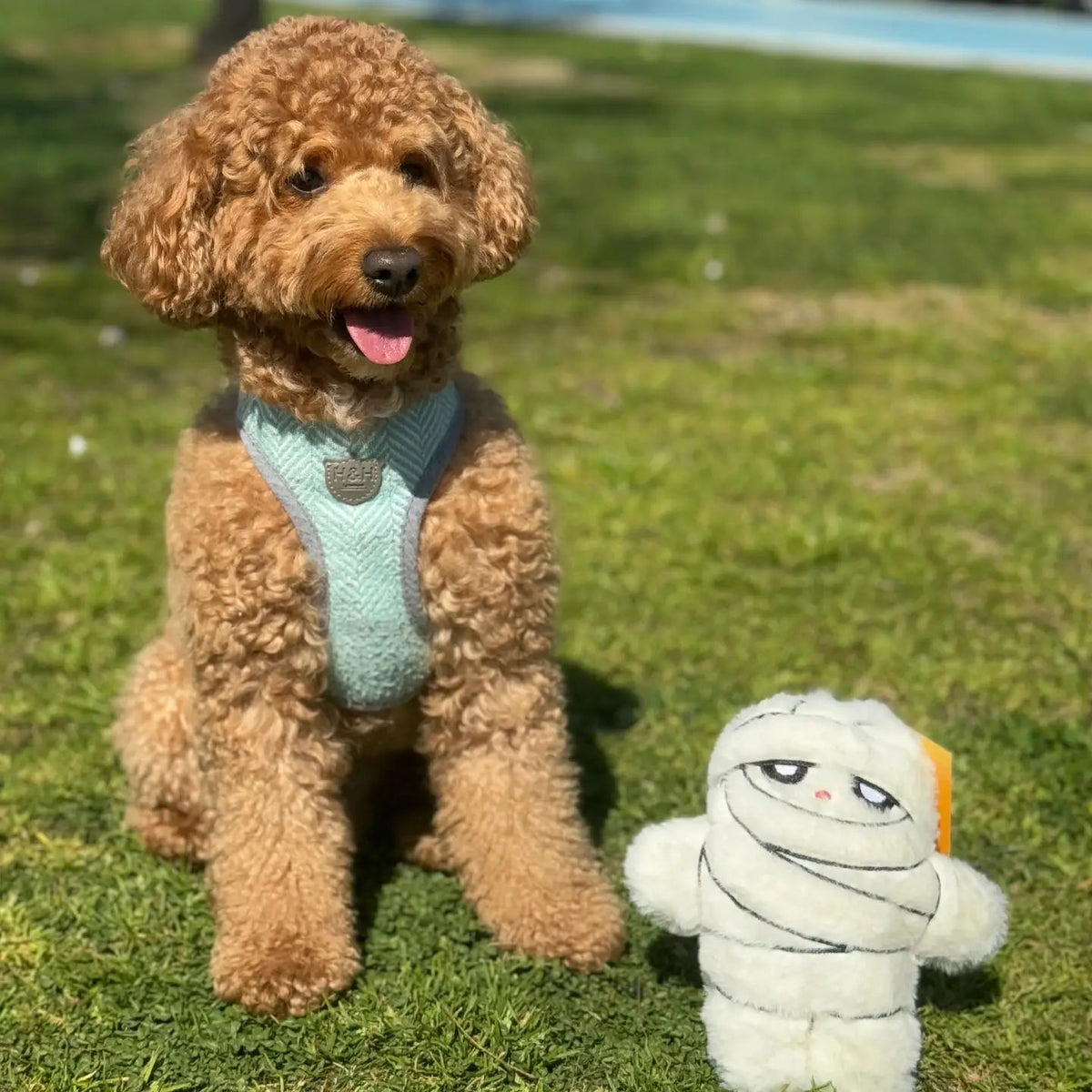 Halloween - Mummy Crankle Toy