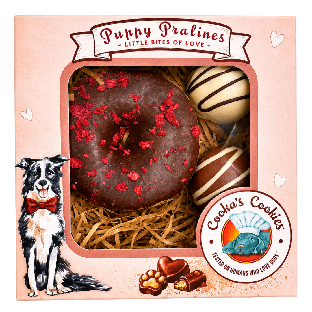 Puppy Pralines
