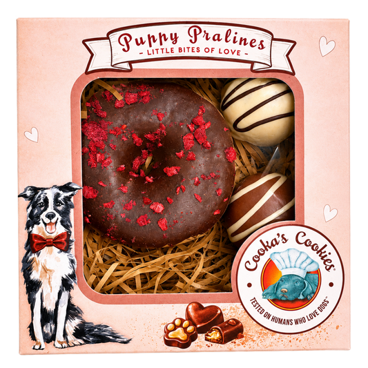 Puppy Pralines