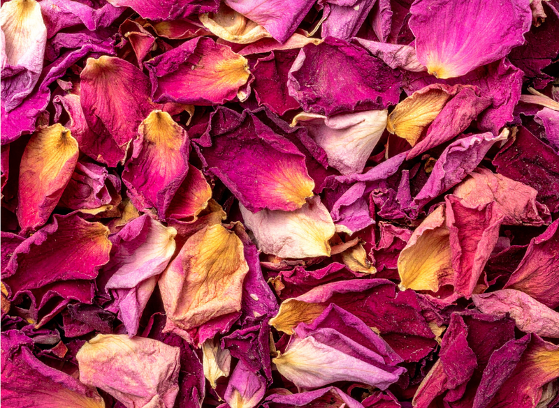 Rose Petals