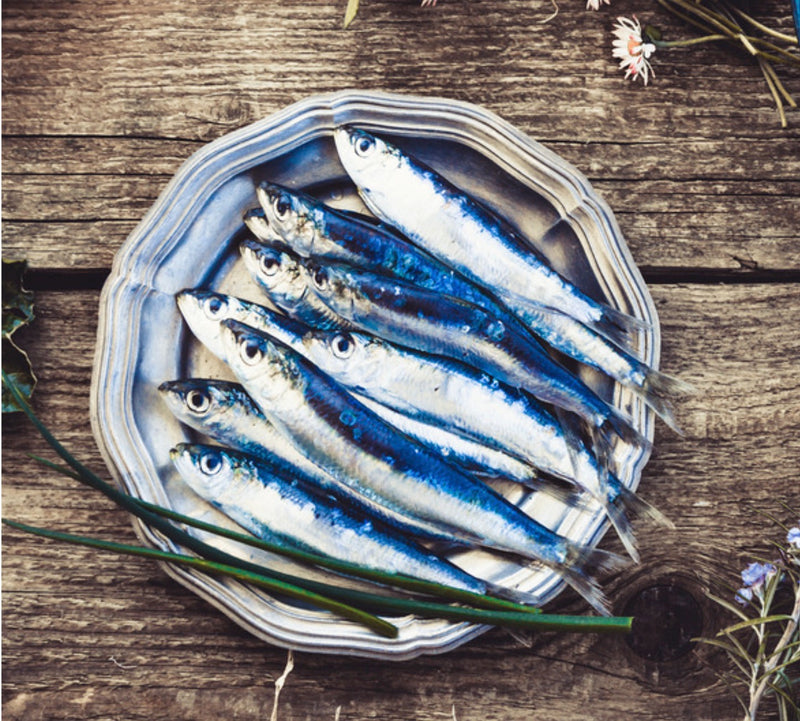 Sardines